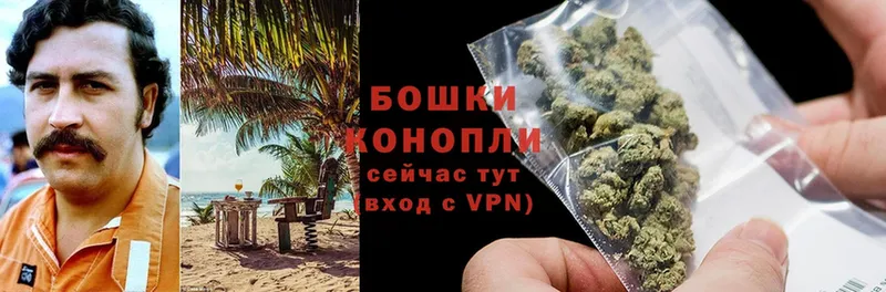 где купить наркотик  Райчихинск  Бошки Шишки Amnesia 